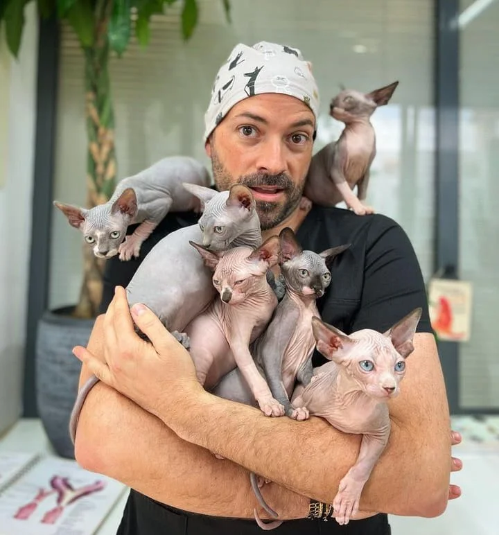 Cat Delivery Service